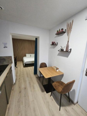 Appartement Type 1 avec parking